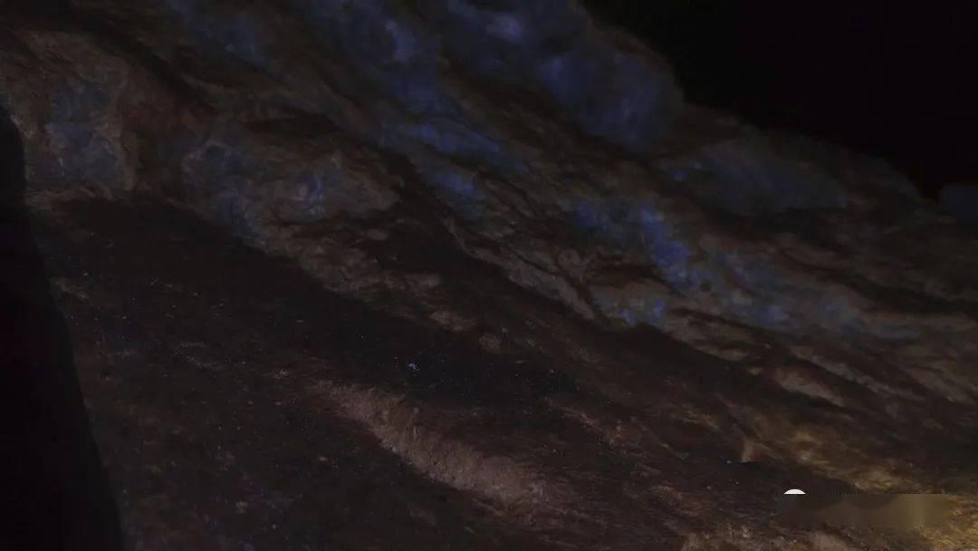 加入先胖着玩玩的明星,哪些明星胖了之后可以迅速恢复?,与知识达人共享学习乐趣!